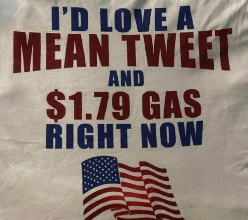 202918721_310110307531706_4891401194307862026_n