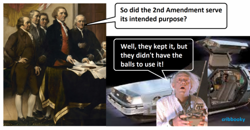 wasted_2nd_Amendment