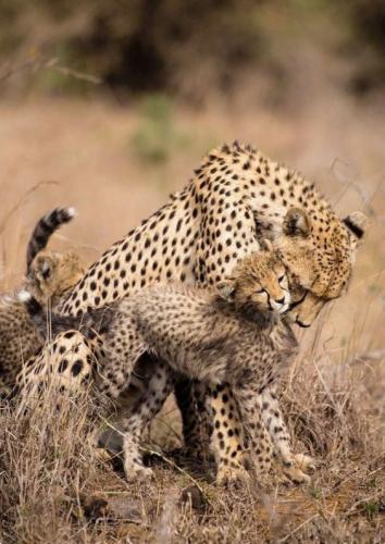 210219485_10215802189567868_3474783494524876419_n