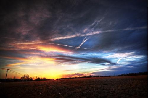 4455747739_ce2f6a2c98_b