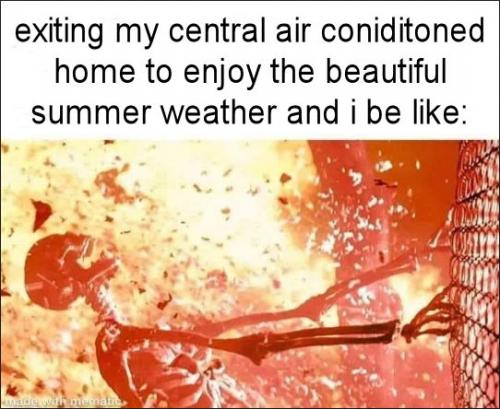 exiting my Central Air Coniditoned home to enjoy the beautiful summer weather and i be like