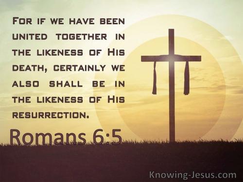 Romans+6-5+brown+United+With+Christ+In+The+Likenss+Of+His+Death