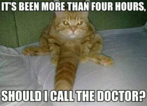 18:12:41 GMT-0500 (CDT)