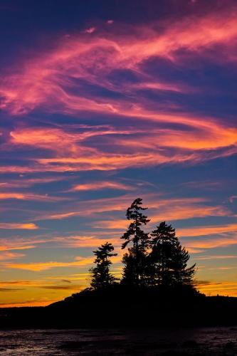 20:55:11 GMT-0500 (CDT)