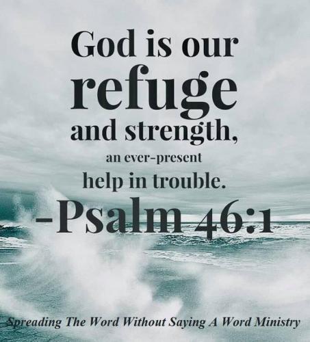 216107924_337551197928467_7034181658896118847_n