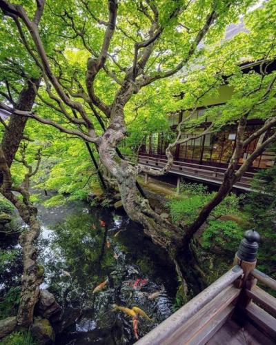 214892938_336297854879094_119648711581228134_n