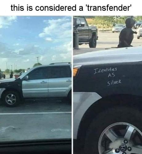 transfender