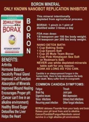 Nanobot_Replication_Inhibitor