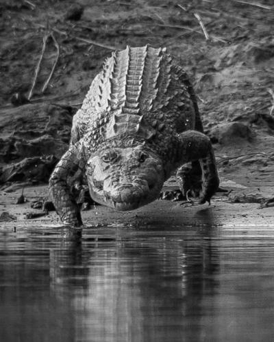 tumblr_6202c5ed2259ee9182597cef26c2c22e_ce8a17da_540