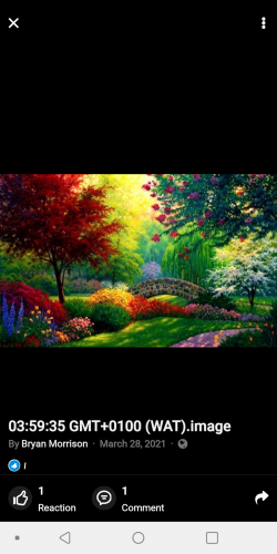 Screenshot_20210714-085239