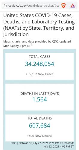 Screenshot_20210722-164640_Brave