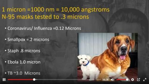Pathogen_Sizes
