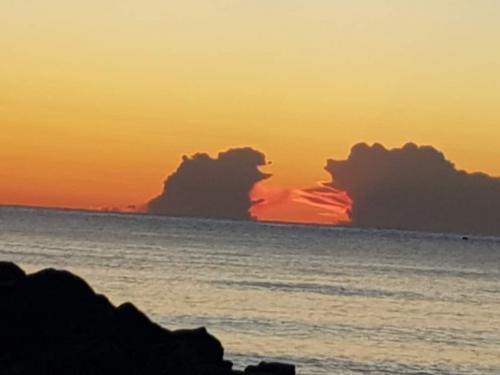 FB_IMG_1625193004703