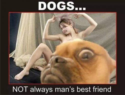 dogs not always