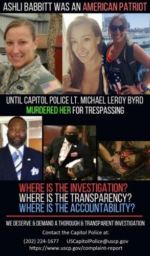 Death By Government Ashli Babbit 1