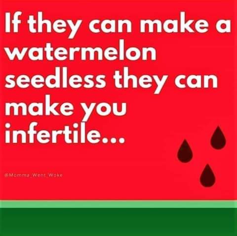 FB_IMG_1625977296345