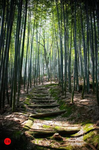 215700713_5761294880608850_7789417972411274072_n