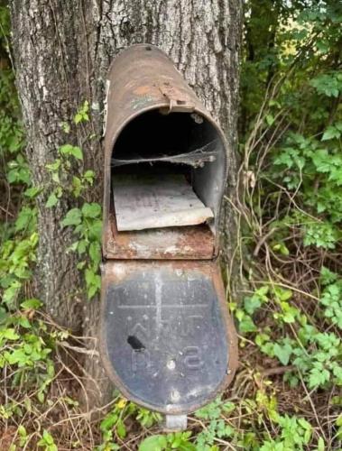 219166246_10214965242683744_8292750934534415054_n