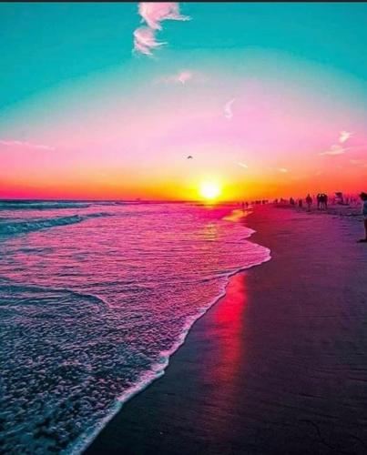 221204355_2887236778197624_7310613626178082018_n