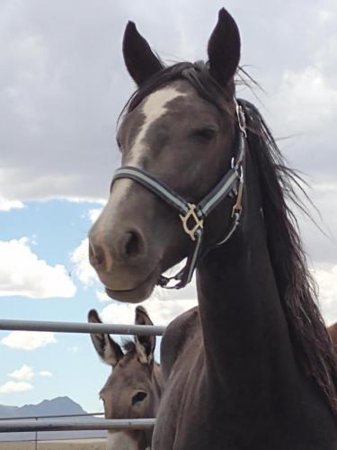 IMG_20210623_130419440