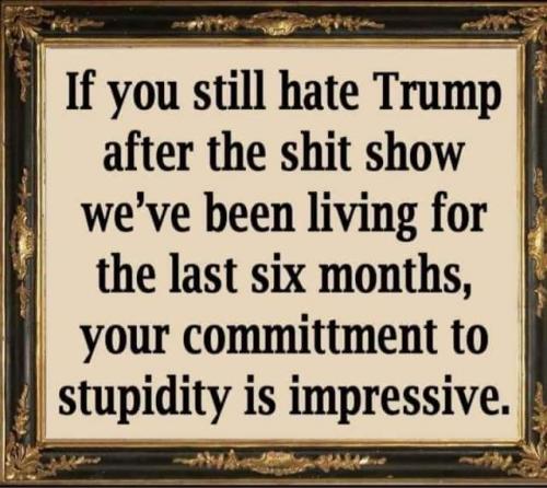 11:46:48 GMT-0500 (CDT).image