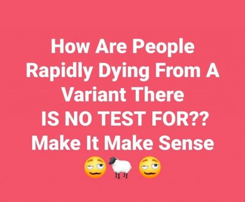 FB_IMG_1627674521416