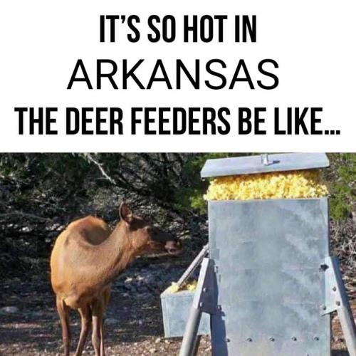 08:20:11 GMT-0500 (CDT)