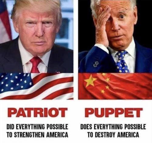 ztrump250
