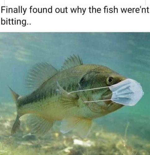 21:54:26 GMT-0500 (CDT)