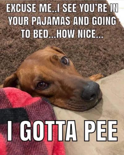 FB_IMG_1620563462957