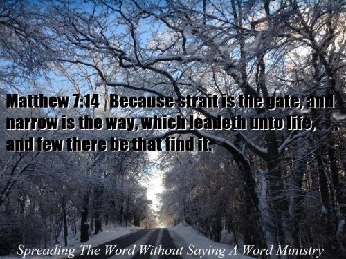 1459777_620283274737474_7714704467617808358_n