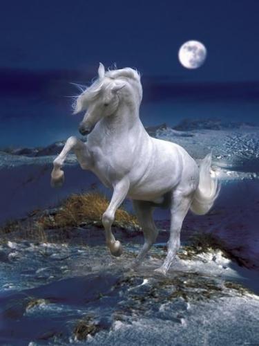 20:51:35 GMT-0500 (CDT)