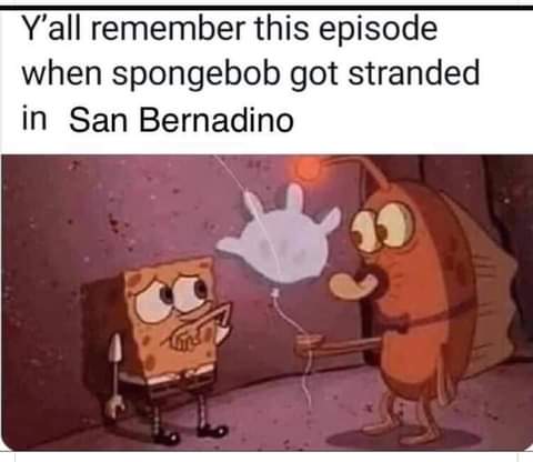 FB_IMG_1627587147064