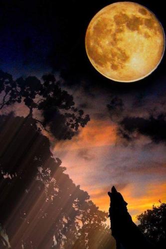 20:17:11 GMT-0500 (CDT)