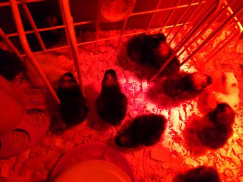 IMG_20210721_194054863