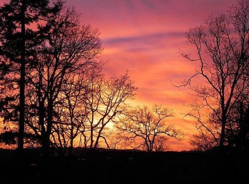 22:04:42 GMT-0500 (CDT)