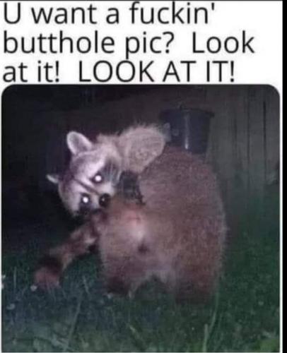 12:13:43 GMT-0500 (CDT)