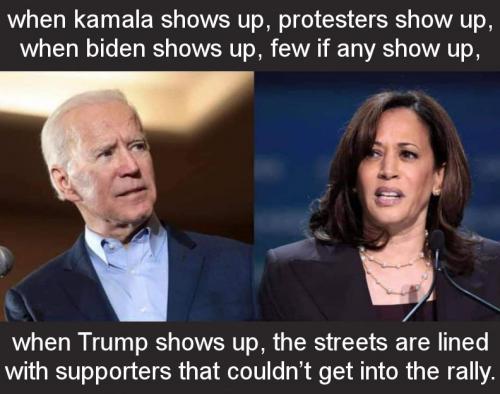 ztrump246