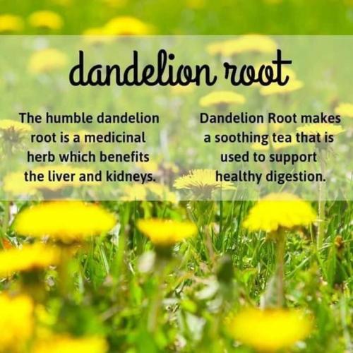 13:34:22 GMT-0600 (MDT)