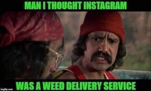 weed instagram