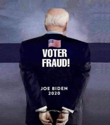 voterfraud196