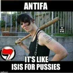 5BQ71cpEZd8uJyrweu6R_24_e98e994377b72c1b38792a134e435cd1_image