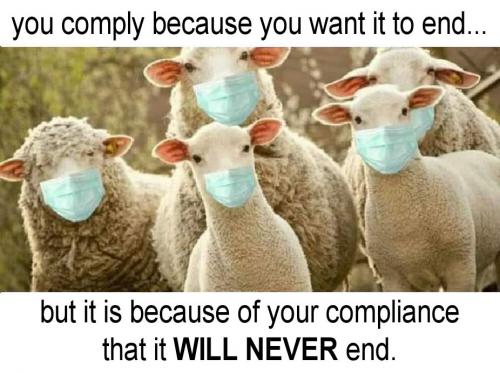 compliance01