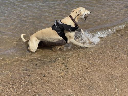 D4B972DD-AE8F-429F-A75C-0CE8246CD9C2