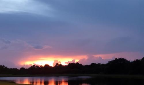 IMG_20210722_203220253