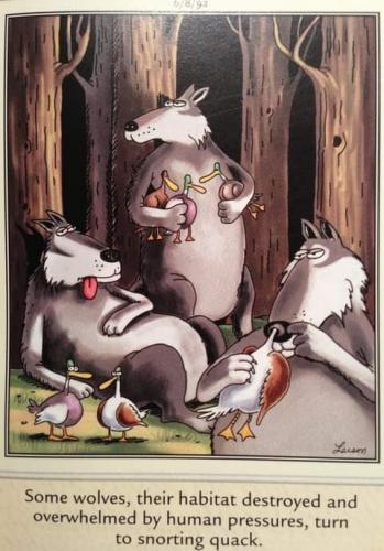 FB_IMG_1627586891854