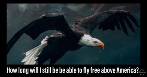 13:35:45 GMT-0400 (EDT).image