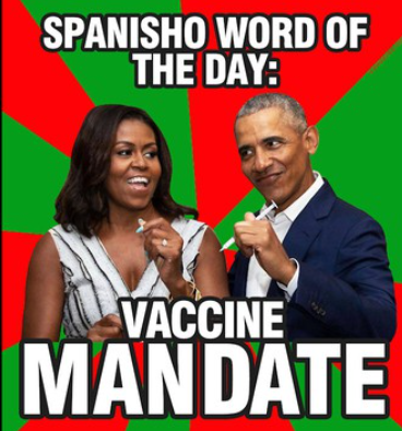 Screenshot_20210811-011522