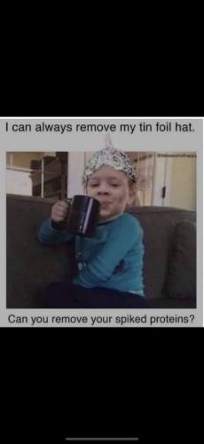 FB_IMG_1628050076327