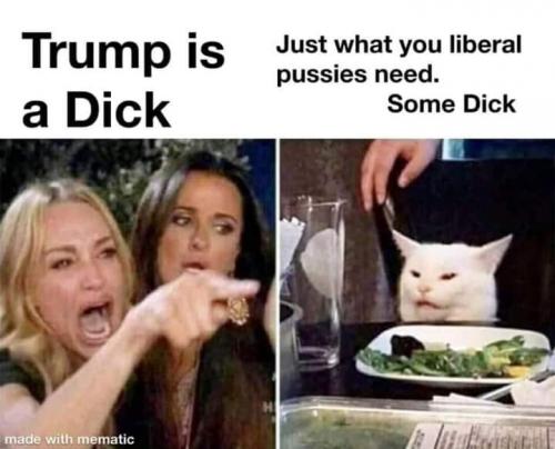 trump cat